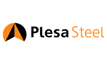 Plesa